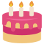 cake icon