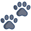 paws icon