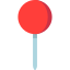 pin icon