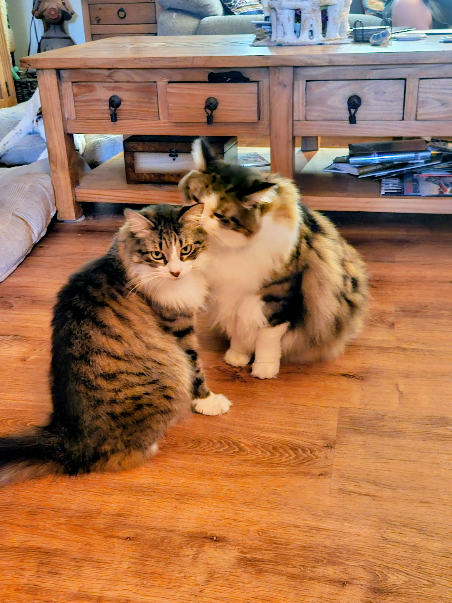 Guapo & Sweet pea