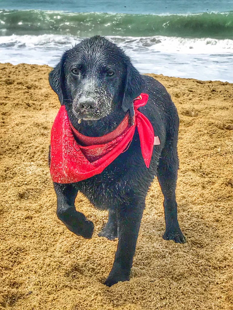 Zoey
